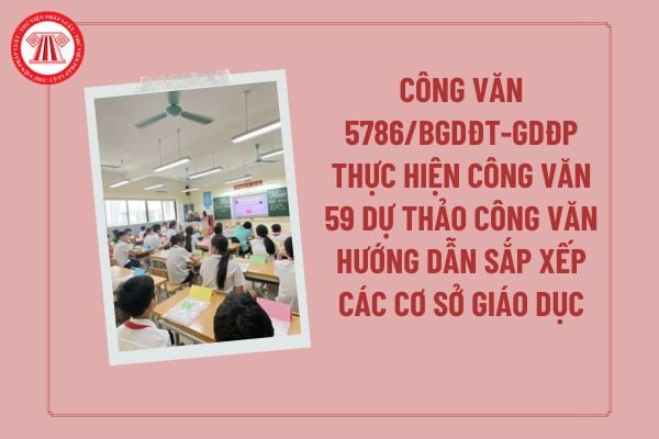 Pháp luật