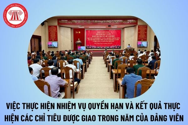 Cách ghi việc thực hiện nhiệm vụ quyền hạn và kết quả thực hiện các chỉ tiêu nhiệm vụ được giao trong năm 2024 Mẫu 02A, Mẫu 02B?