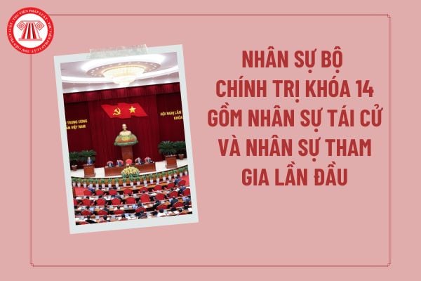Pháp luật