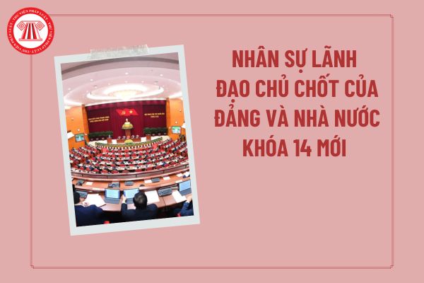 Pháp luật