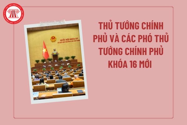 Pháp luật