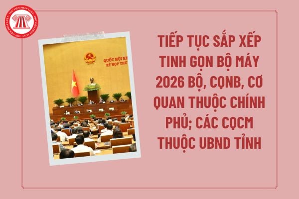 Pháp luật
