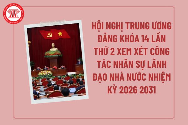 Pháp luật