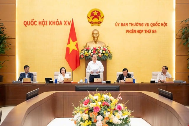 Pháp luật