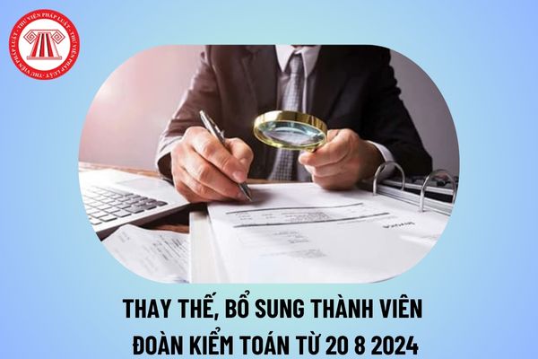 Quy định thay thế, bổ sung thành viên Đoàn kiểm toán từ 20/8/2024? Tạm đình chỉ thực hiện nhiệm vụ thành viên Đoàn kiểm toán ra sao?