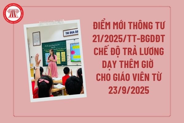 Pháp luật