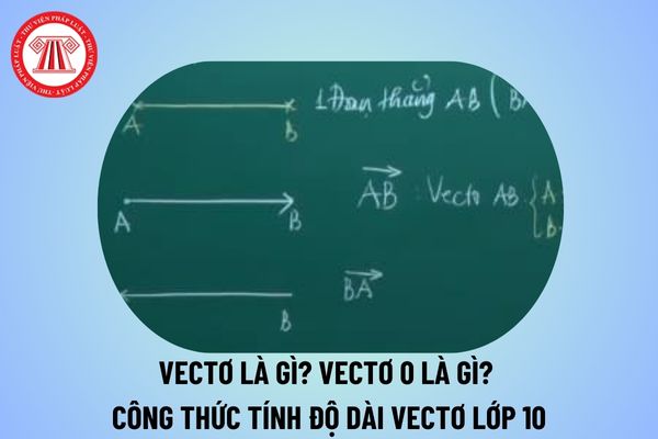 Vectơ là gì? Vectơ 0 là gì? Công thức tính độ dài vectơ lớp 10? Đặc điểm môn Toán theo Thông tư 32?