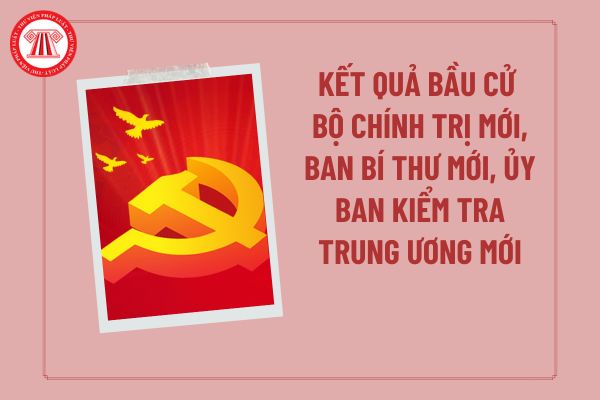 Pháp luật