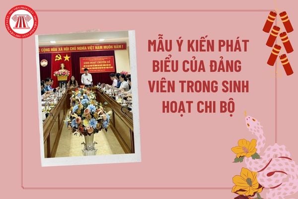 Ý kiến phát biểu của Đảng viên trong sinh hoạt chi bộ? Cách phát biểu ý kiến trong cuộc họp chi bộ? Mẫu ý kiến trong sinh hoạt chi bộ?