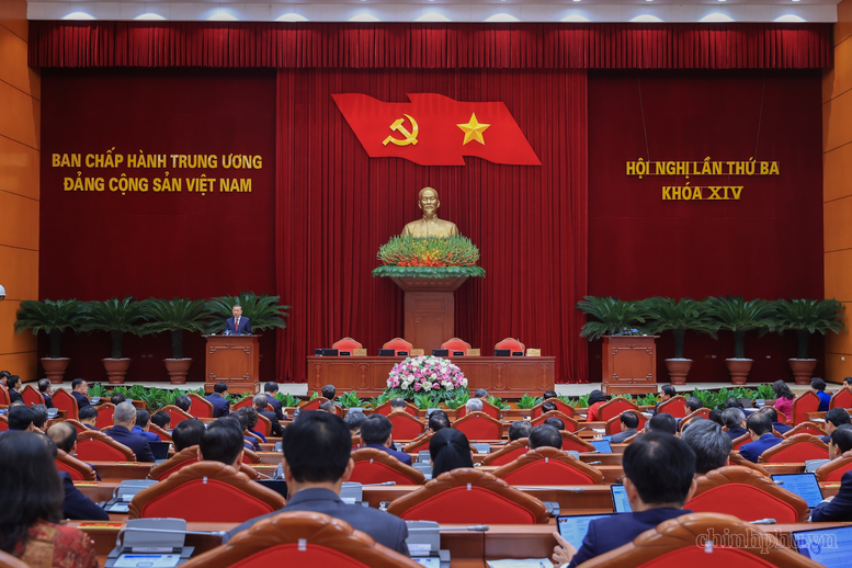 Pháp luật