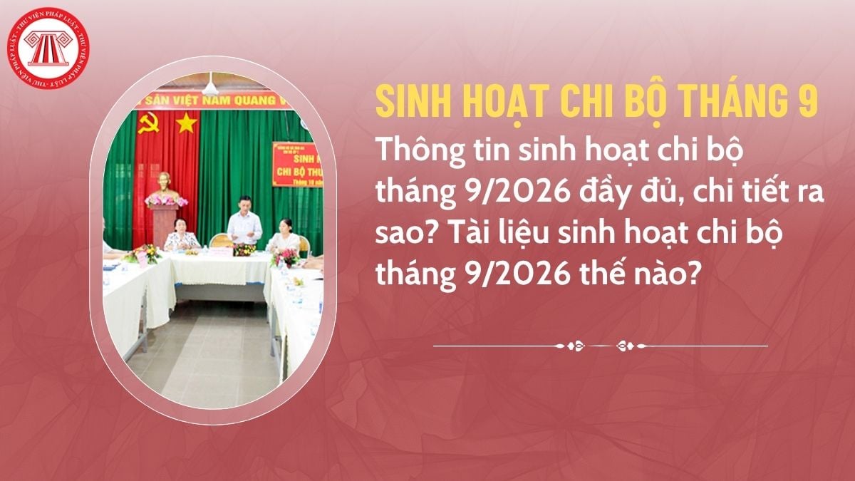 Pháp luật
