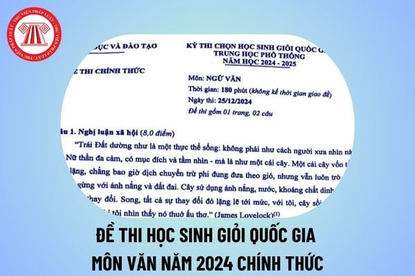 Đề thi học sinh giỏi quốc gia môn Văn 2024 ngày 1 chính thức? Đề thi HSG quốc gia môn Văn 2024 thế nào?