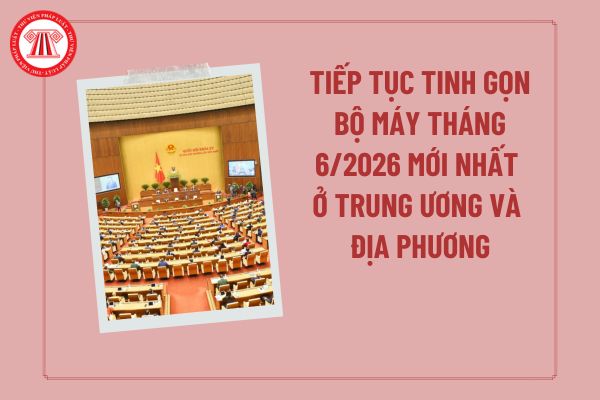 Pháp luật