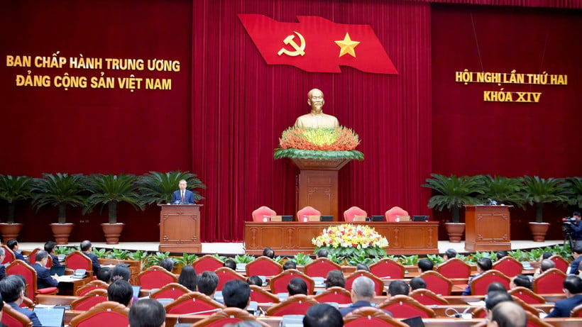 Pháp luật