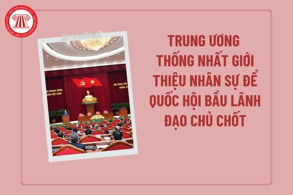 Pháp luật