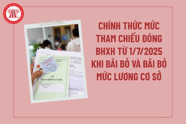 Pháp luật