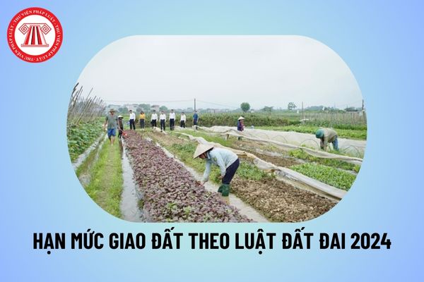 Cá nhân được giao nhiều loại đất trong các loại đất trồng cây hằng năm, đất nuôi trồng thủy sản, đất làm muối thì tổng hạn mức giao đất không quá bao nhiêu ha?