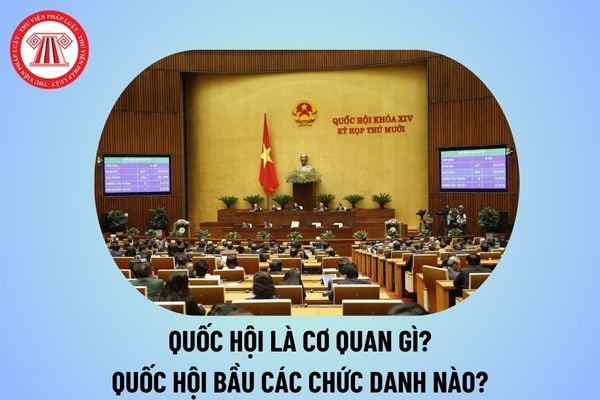 Hiến pháp 2013 Quốc hội là cơ quan gì? Nhiệm vụ và quyền hạn của Quốc hội theo quy định thế nào?