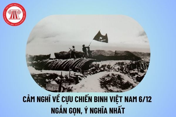 Cảm nghĩ về Cựu chiến binh Việt Nam 6 12 ngắn gọn, ý nghĩa? Cảm nghĩ Ngày thành lập Hội Cựu chiến binh Việt Nam 6 12?