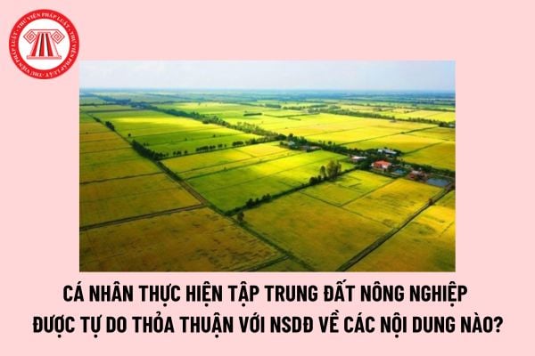 Cá nhân thực hiện tập trung đất nông nghiệp được phép tự thỏa thuận với người sử dụng đất về các nội dung nào? 