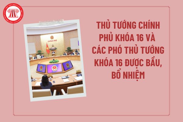 Pháp luật