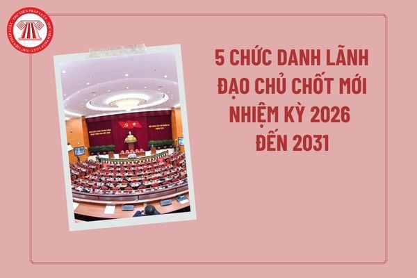 Pháp luật