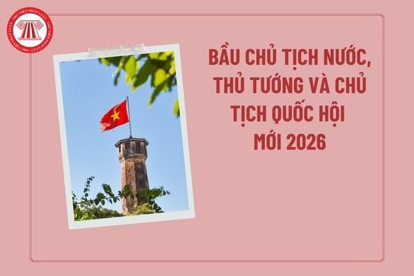 Pháp luật