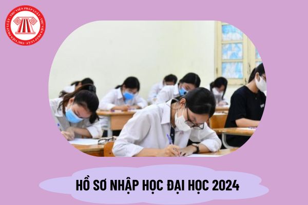 Hồ sơ nhập học đại học 2024? Hồ sơ nhập học đại học gồm những gì? Không xác nhận nhập học đại học 2024 giải quyết thế nào?