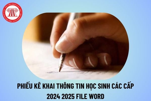 Phiếu kê khai thông tin học sinh 2024 2025 các cấp? Cách ghi phiếu kê khai thông tin học sinh file word?