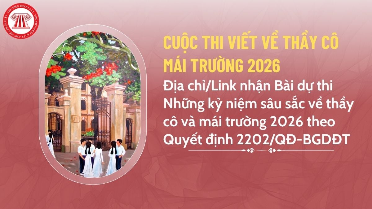 Pháp luật