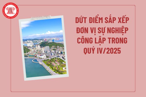 Sắp xếp đơn vị sự nghiệp công lập mới nhất: Hướng dẫn thành lập đơn vị sự nghiệp công lập cấp xã theo Công văn 20 ra sao?