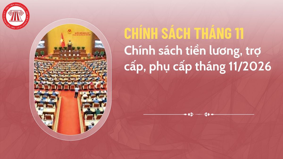 Pháp luật