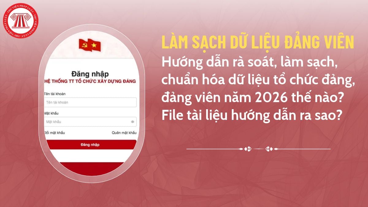 Pháp luật
