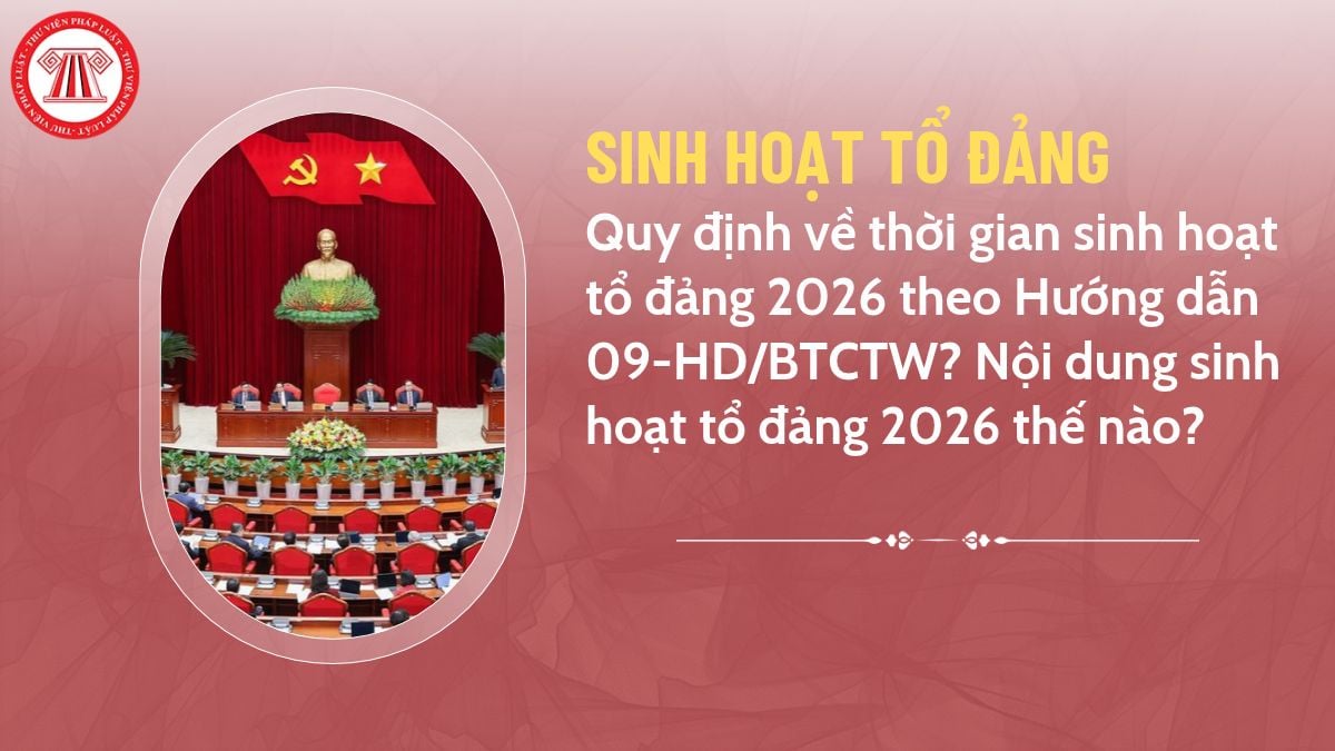 Pháp luật