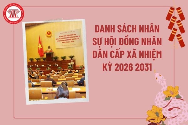 Pháp luật