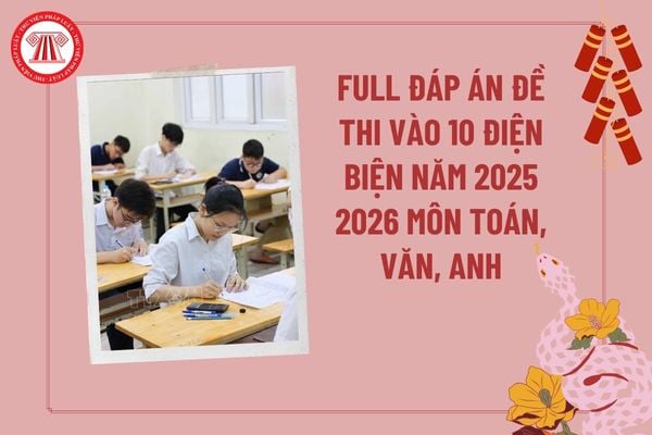 Pháp luật