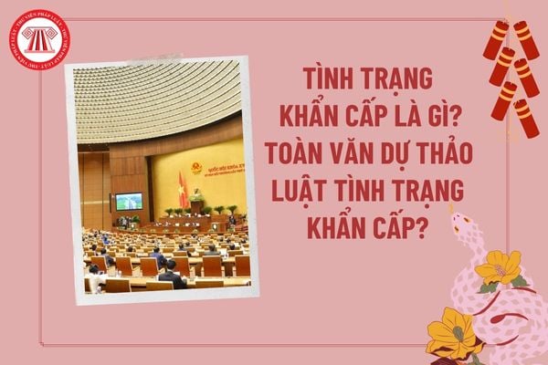 Pháp luật