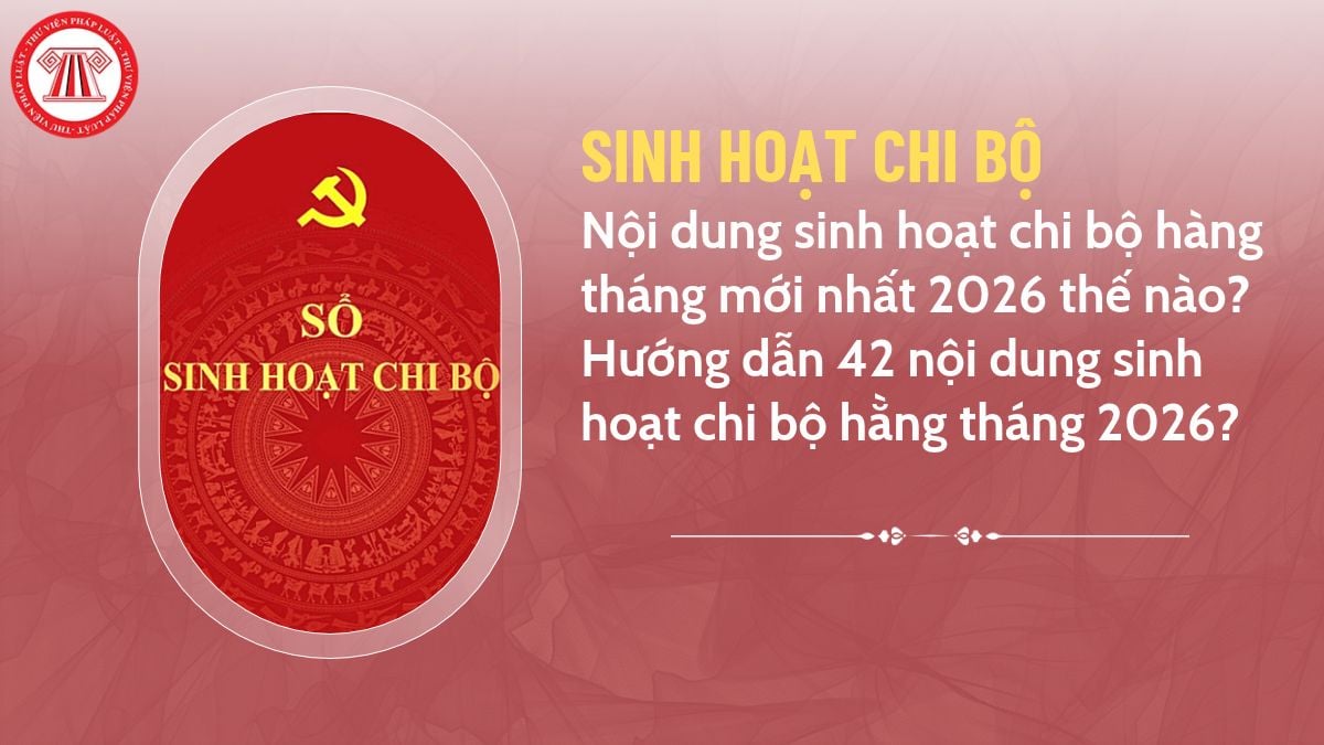 Pháp luật