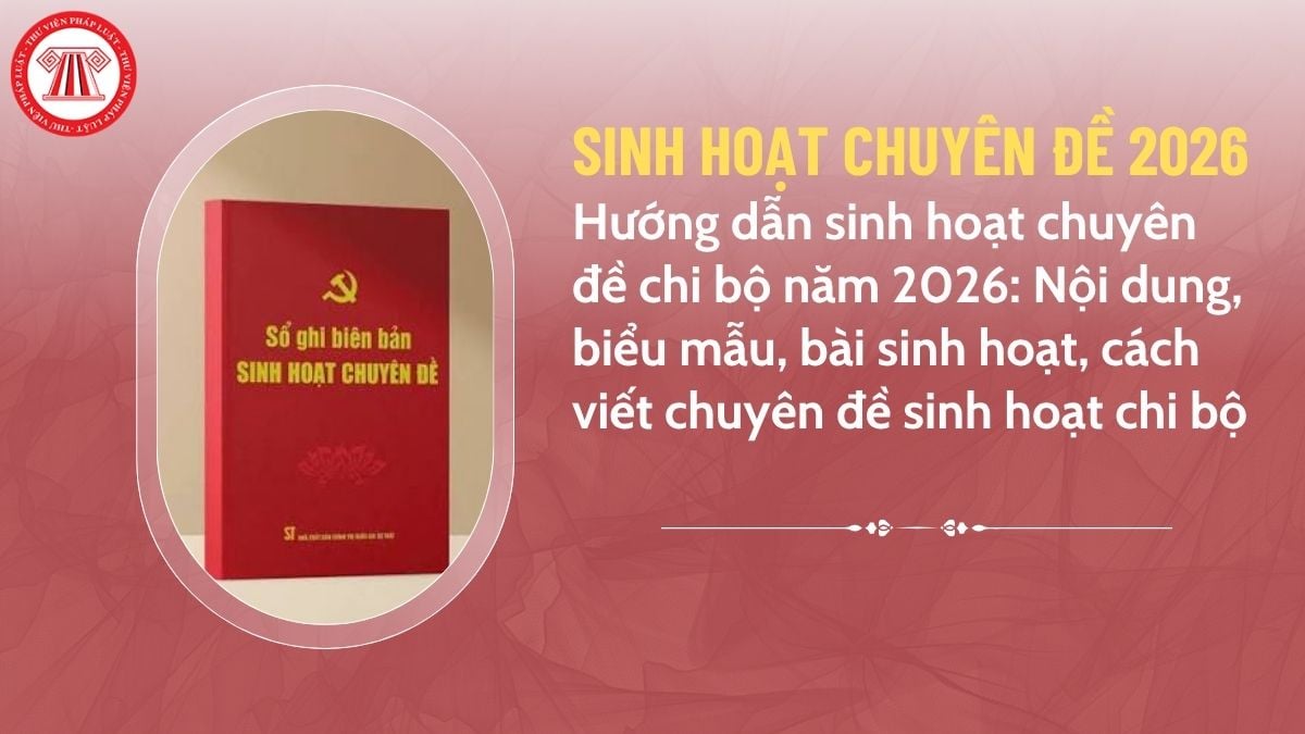 Pháp luật