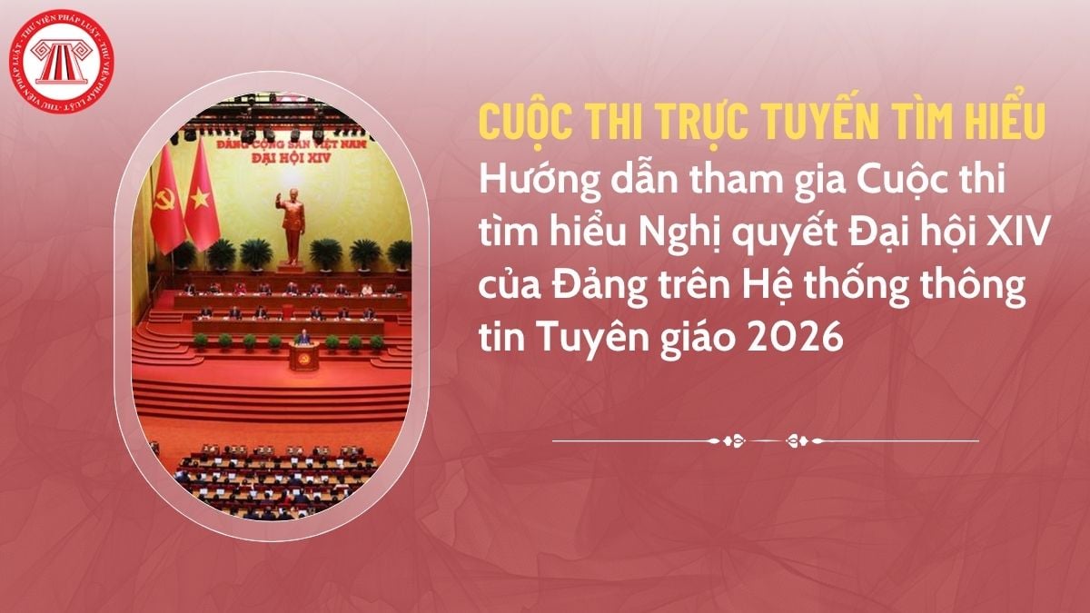 Pháp luật