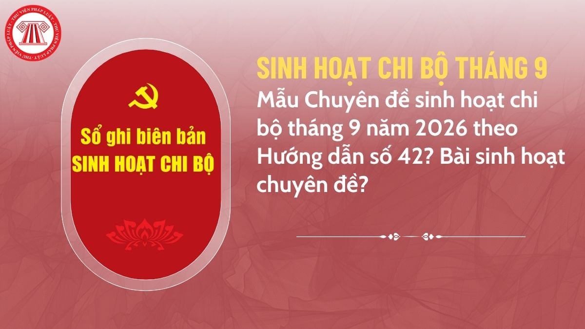 Pháp luật