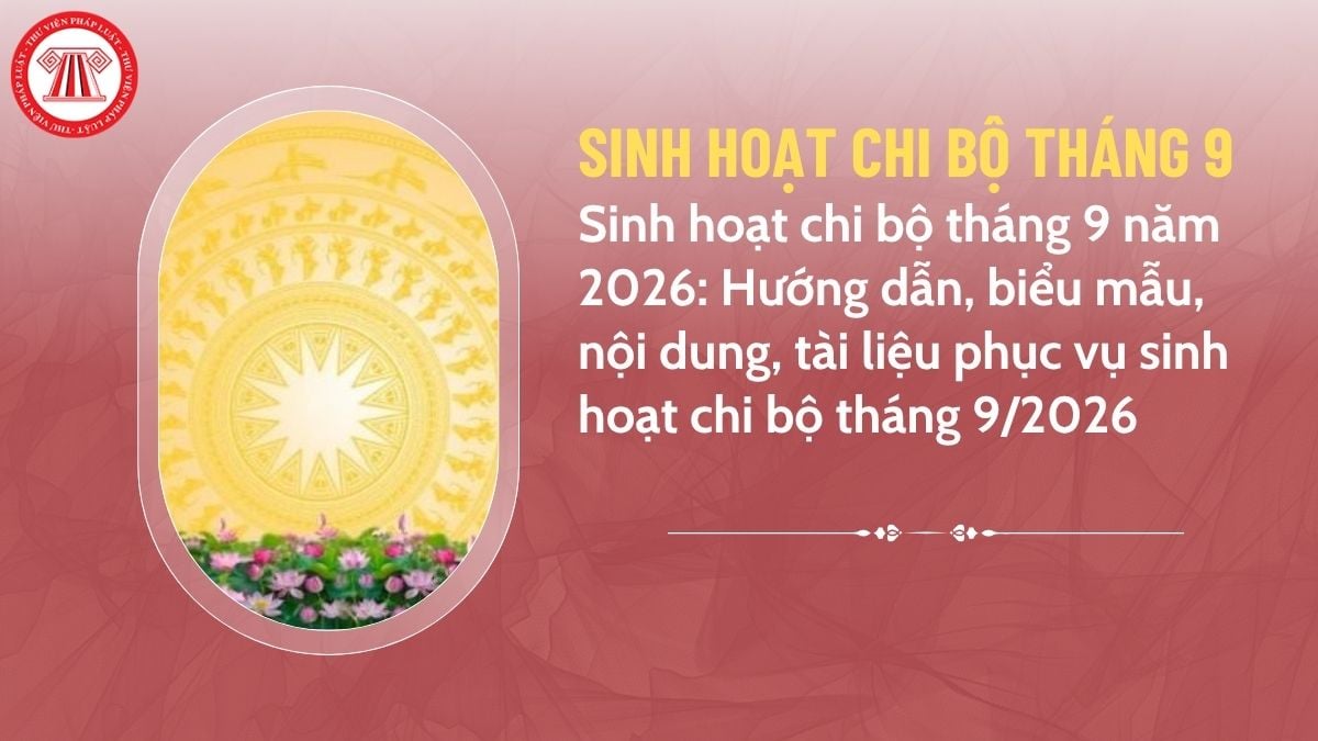 Pháp luật