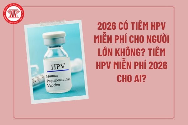 Pháp luật