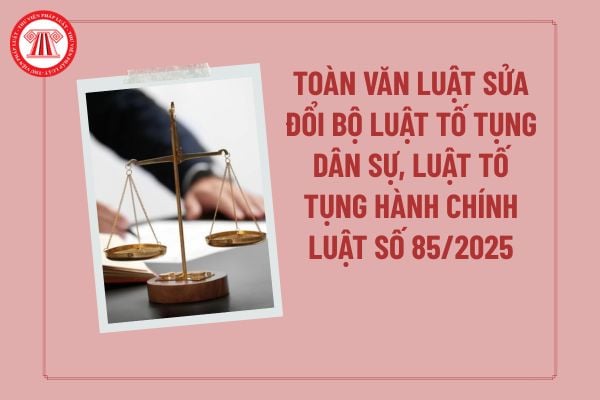 Pháp luật