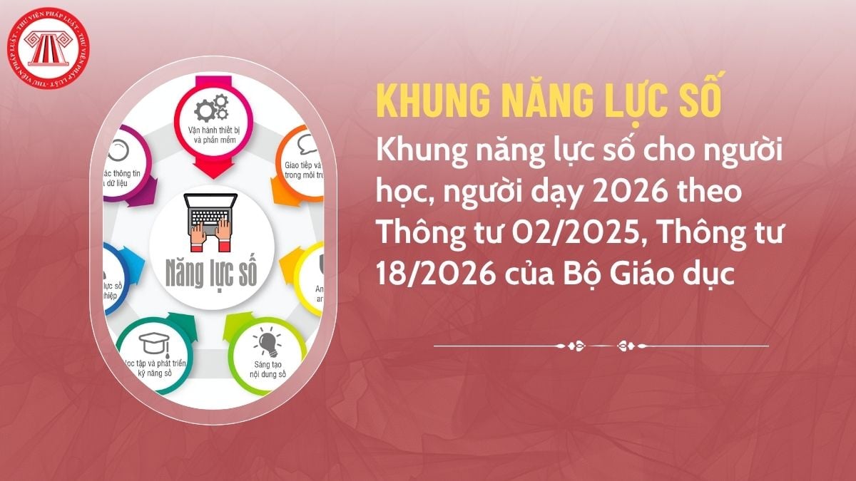 Pháp luật