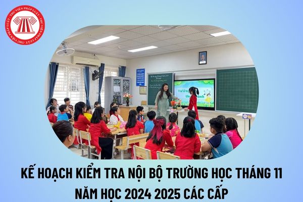 Kế hoạch kiểm tra nội bộ tháng 11 năm học 2024 2025 các cấp? Kế hoạch tiến hành kiểm tra nội bộ trường học tháng 11 2024 2025?