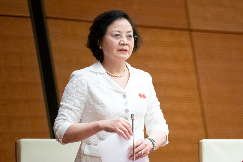 Pháp luật