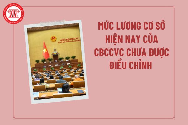 Pháp luật