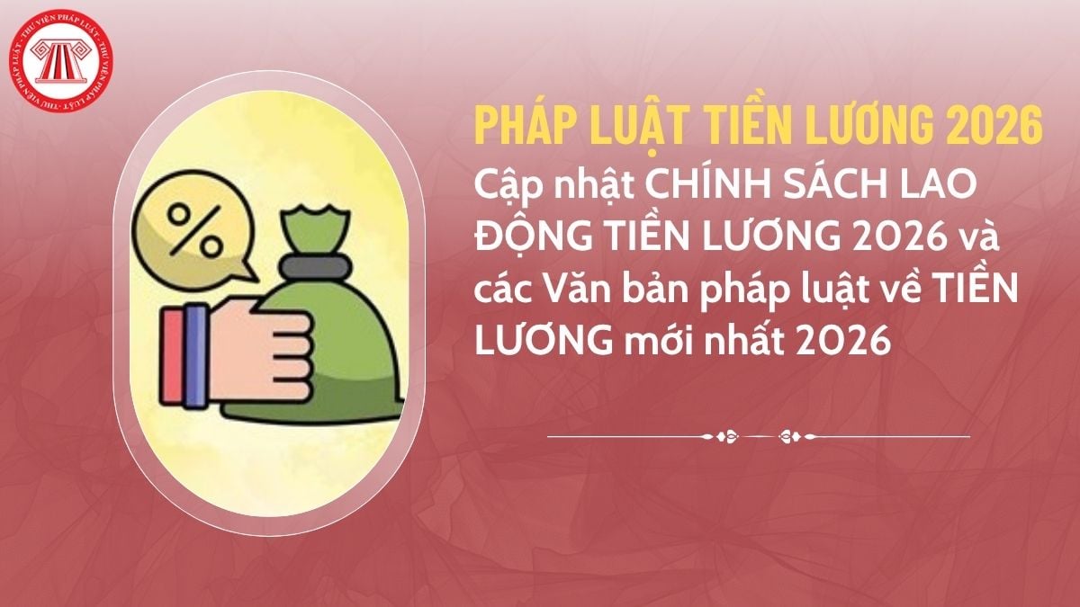 Pháp luật