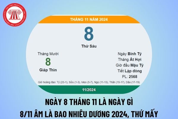 Ngày 8 tháng 11 là ngày gì? Ngày 8 11 dương là ngày bao nhiêu âm 2024? Ngày 8 tháng 11 năm 2024 là thứ mấy?